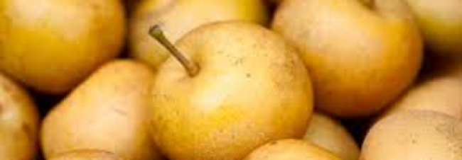 Nashi Birnen 1 kg